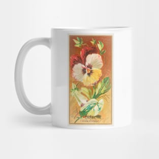 Pansy (Viola tricolor) Mug